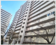  2024Ÿ579507 õ   315, 204 4402ȣ (,ְ2Ʈ)    Ʈ