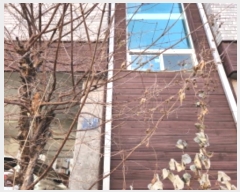  2024Ÿ��583292  �ټ���(����)���