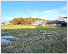  2024Ÿ��2932  â�����