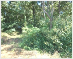  2024Ÿ��4860 ��� ������ ������ ���긮 ��88-6      ����(�Ӿ�)���