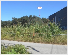  2024Ÿ��4860 ��� ������ ������ ���긮 ��88-6      ����(�Ӿ�)���