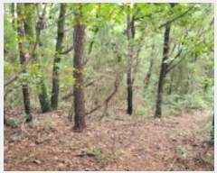  2024Ÿ��4860 ��� ������ ������ ���긮 ��88-6      ����(�Ӿ�)���