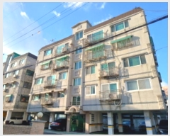  2024Ÿ6392  õ һ籸 α29 11, 3302ȣ (ȵ,ＺǼ)    ټ,