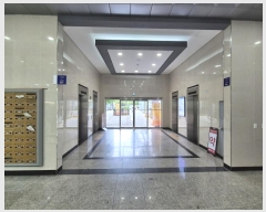  2024Ÿ39439   Ѱ1 250, 1135ȣ (絿,Ÿ)     ,繫ǰ