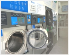  2024Ÿ39439   Ѱ1 250, 1135ȣ (絿,Ÿ)     ,繫ǰ