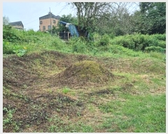  2024Ÿ48594     109-6      (1)