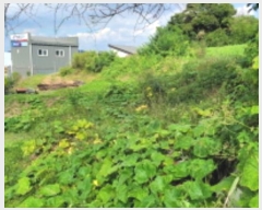  2024Ÿ48594     109-6      (1)