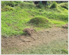  2024Ÿ48594     109-6      (1)