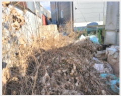  2024Ÿ��57185  ������