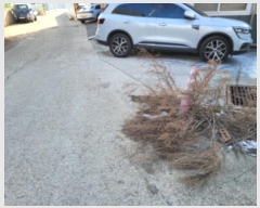  2024Ÿ��57185  ������