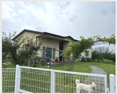  2024Ÿ3829   ֹ 129 (,1)      ð