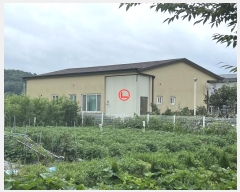  2024Ÿ3829   ֹ 129 (,1)      ð