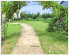  2024Ÿ3829   ֹ 129 (,1)      ð