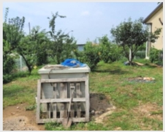  2024Ÿ3829   ֹ 129 (,1)      ð