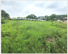  2024Ÿ40224     271-20      ()