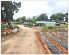  2024Ÿ40224     271-20      ()