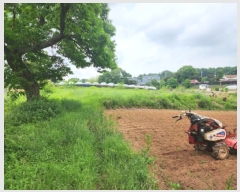  2024Ÿ40224     271-20      ()