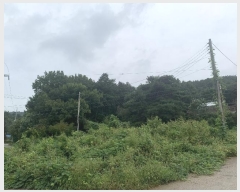  2024Ÿ49122     118-29      (Ӿ)