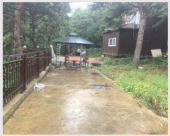  2024Ÿ49122     118-29      (Ӿ)