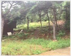  2024Ÿ49122     118-29      (Ӿ)