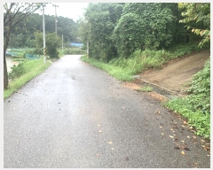  2024Ÿ49122     118-29      (Ӿ)