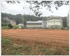  2024Ÿ49122     118-29      (Ӿ)