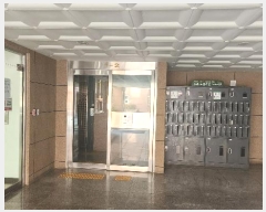  2024Ÿ52708  õ һ籸 ɰ34 38-12, 2202ȣ (۳,۳)    Ʈ