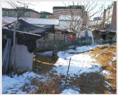  2024Ÿ57239     271-2      (Ӿ)