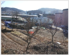  2024Ÿ57239     271-2      (Ӿ)