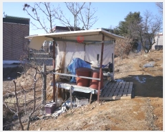  2024Ÿ57239     271-2      (Ӿ)