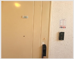  2024Ÿ5979    19, 115 7702ȣ (ǳ,ŵƾƮ)    Ʈ