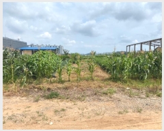  2024Ÿ��40170 ��� ������ ������ ���縮 968-170      ����(��1)���