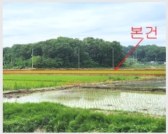  2024Ÿ��40910 ��� ������ �ϼ��� �þϸ� 824      ����(��)���