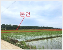  2024Ÿ��40910 ��� ������ �ϼ��� �þϸ� 824      ����(��)���