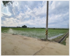  2024Ÿ��40910 ��� ������ �ϼ��� �þϸ� 824      ����(��)���