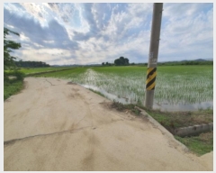  2024Ÿ��40910 ��� ������ �ϼ��� �þϸ� 824      ����(��)���