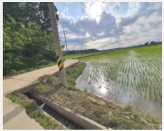  2024Ÿ��40910 ��� ������ �ϼ��� �þϸ� 824      ����(��)���