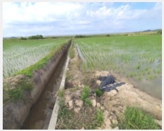  2024Ÿ��40910 ��� ������ �ϼ��� �þϸ� 824      ����(��)���