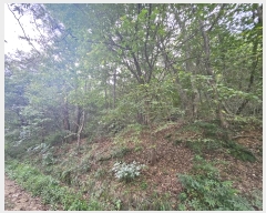  2024Ÿ��48761  �Ӿ߰��