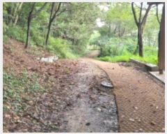  2024Ÿ��48761  �Ӿ߰��