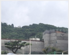  2024Ÿ��48761  �Ӿ߰��