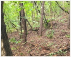  2024Ÿ��48761  �Ӿ߰��