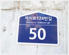  2024Ÿ��51194  ����Ʈ���