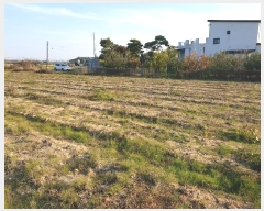  2024Ÿ��52593  ����