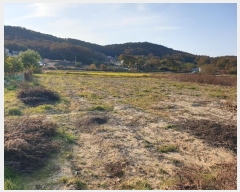  2024Ÿ��52593  ����