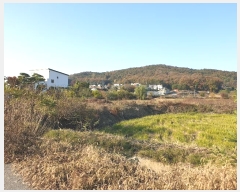  2024Ÿ��52593  ����