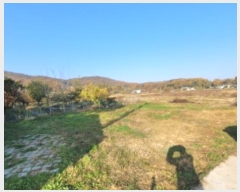  2024Ÿ��52593  ����