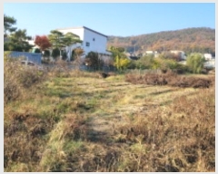  2024Ÿ��52593  ����