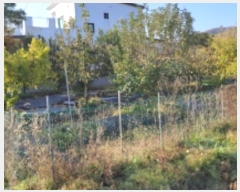  2024Ÿ��52593  ����