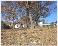  2024Ÿ��54056 ��� ������ ������ �¸� 209-41      ����(�Ӿ�)���